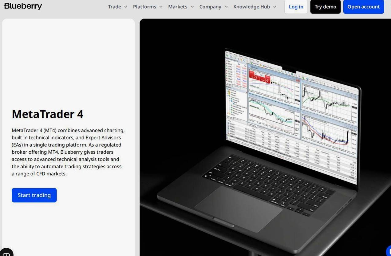 The platform page on the Blueberry Markets website