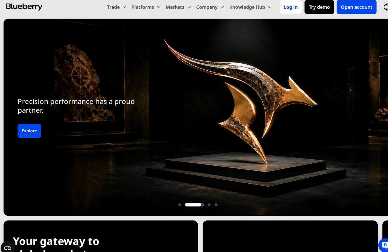 Screenshot of the Blueberry Markets website